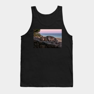 Cat in the sunset on the beach Tank Top